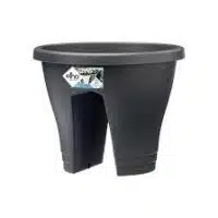 Corsica Flower Bridge 30cm. antrac.