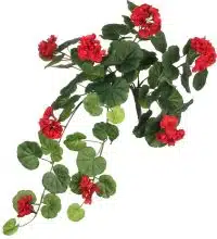 Geranium rood L63cm