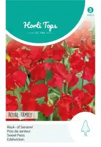 HT Lathyrus, Reuk- of Siererwt Royal Family Rood