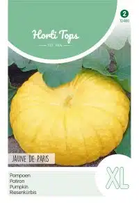 HT Pompoen Jaune de Paris
