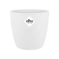 Brussels Rond Mini D7 H6