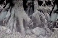 SuperFish Deco Poster D2 60x49CM