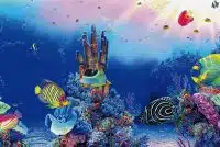 SuperFish Deco Poster F2 60x49cm