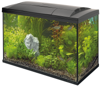 Start 150 Tropical Kit Zwart