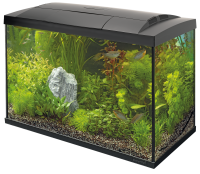 Start 70 Tropical Kit Zwart