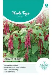HT Amaranthus, Rode Kattenstaart