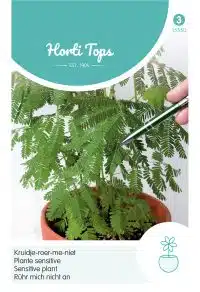 HT Mimosa Pudica, Kruidje-Roer-Me-Niet