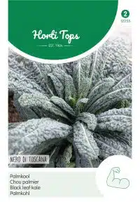 HT Palmkool Nero di Toscane