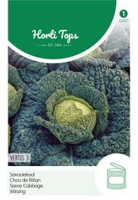 HT Savooiekool Vertus 3 (Grote Late Groene)