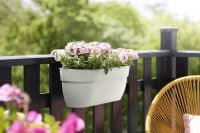 Vibia Campana Easy Hanger Large