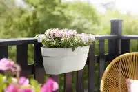 Vibia Campana Easy Hanger Large