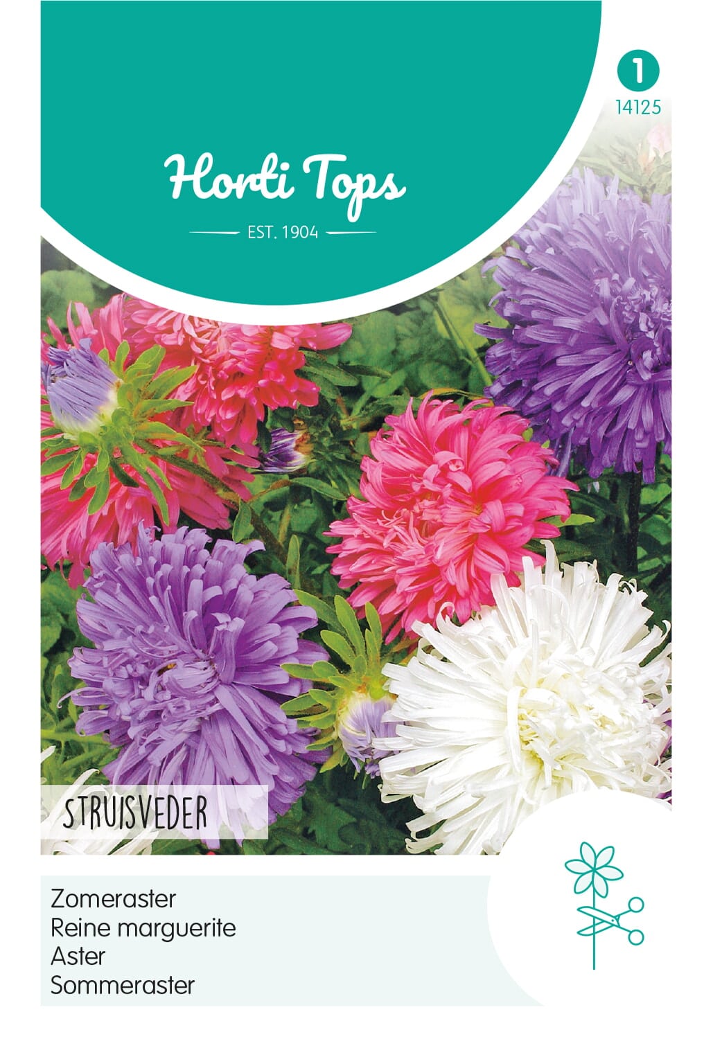 HT Callistephus, Zomeraster Struisveder gemengd