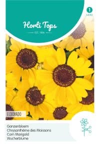 HT Chrysanthemum, Ganzebloem Eldorado Geel