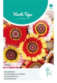 HT Chrysanthemum, Ganzebloem gemengd