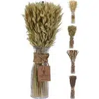 Deco Gras in glazen Pot 4 ass.