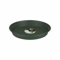 Green Basics Schotel groen D34