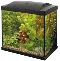 Start 30 Tropical Kit Zwart