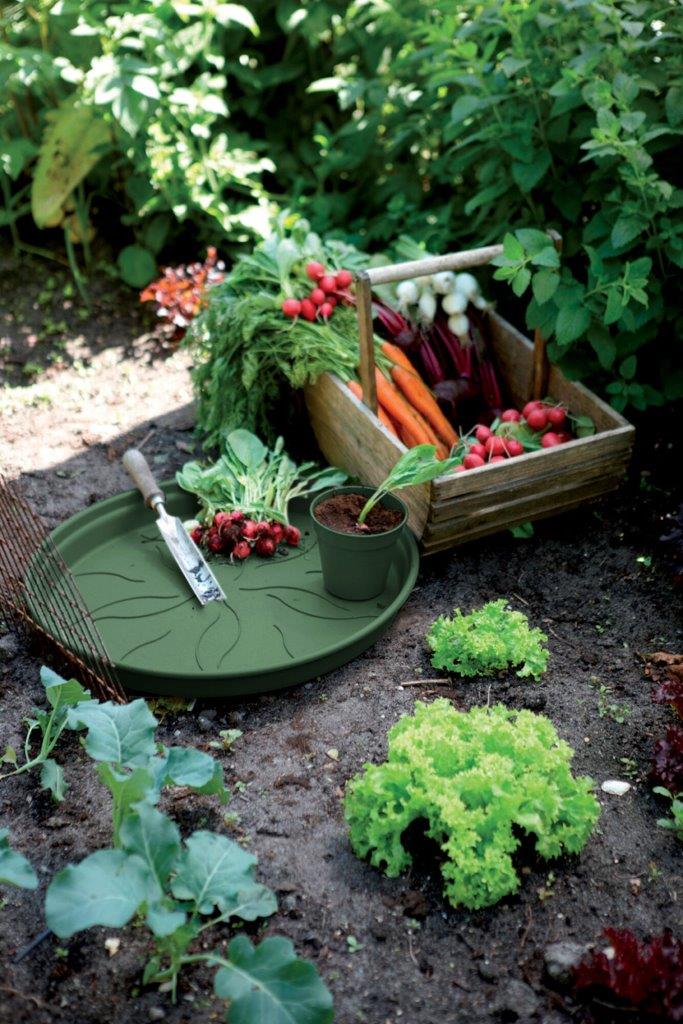 Green Basics Schotel D14