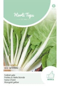 HT Snijbiet Blonde A Carde Blanche - Gele Witribbige 2