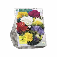 Freesia Double, Mix per 50