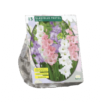 Gladiolus Pastel Mix per 15