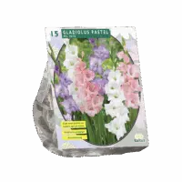 Gladiolus Pastel Mix per 15