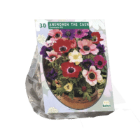 Anemone de Caen, Mix per 30