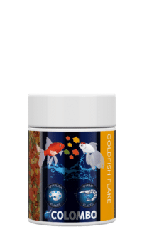 Colombo Goldfish Vlokken 100ml