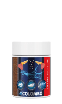 Colombo Tropical Korrel 100ml/70gr