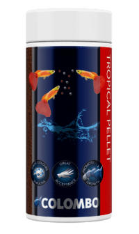 Colombo Tropical Korrel 250ml/160gr