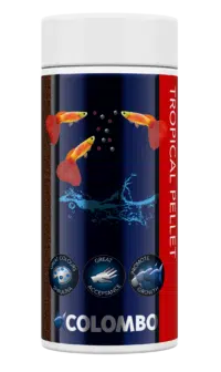 Colombo Tropical Korrel 250ml/160gr