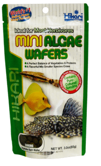 Hikari Mini Algae Wafers 85 Gram