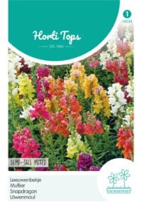 HT Antirrhinum, Leeuwenbekje half-hoge gemengd