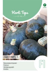 HT Bewaarpompoen Sweet Mama F1