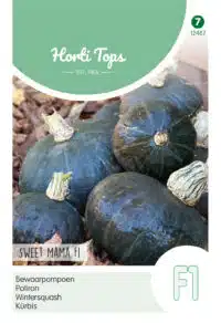 HT Bewaarpompoen Sweet Mama F1