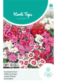 HT Dianthus, Duizendschoon Wee Willie gemengd