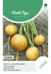 HT Gele tuin- of herfstknolletjes Goldana