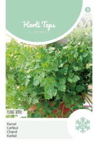 HT Kervel Fijne Krul