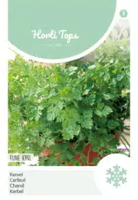 HT Kervel Fijne Krul