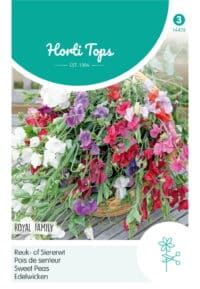 HT Lathyrus, Reuk- of Siererwt Royal Family gemengd