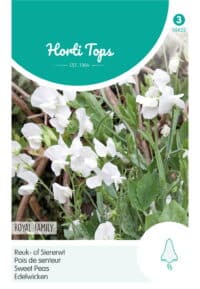 HT Lathyrus, Reuk- of Siererwt Royal Family Wit