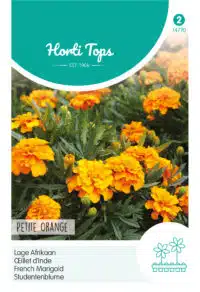 HT Tagetes, lage Afrikaan Petite Orange